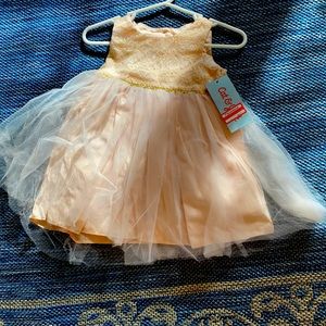 Gorgeous & Beautifully detailed fancy dress with gold detailed design